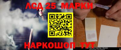 амф Кандалакша