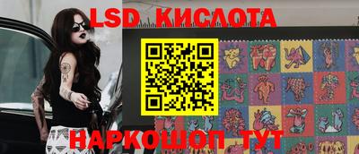 амф Кандалакша