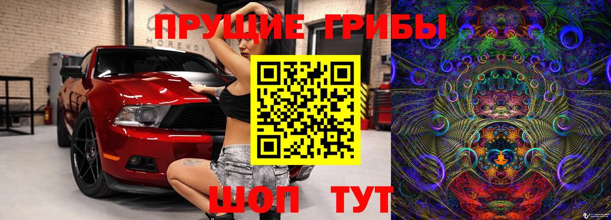 Псилоцибиновые грибы MAGIC MUSHROOMS  Вход с VPN  купить  цена  Татарск 