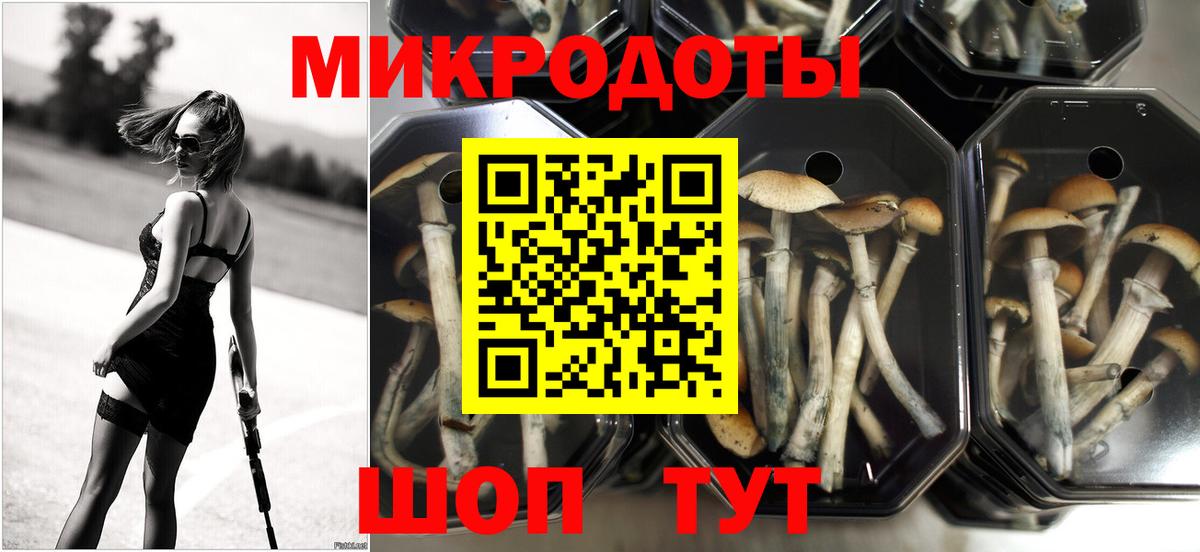 Псилоцибиновые грибы GOLDEN TEACHER Татарск